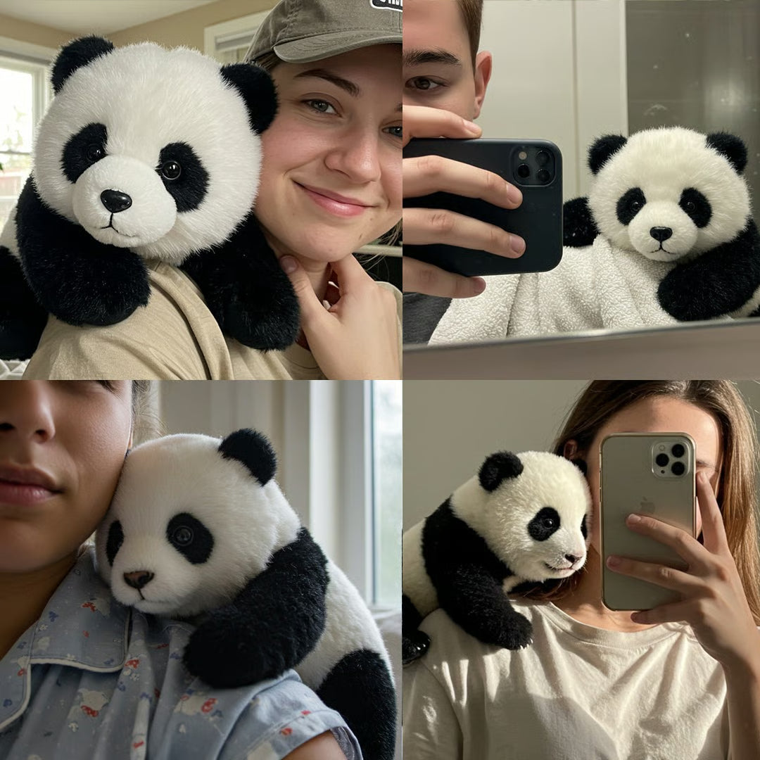 🐼THE PANDY– Emotional Healing on Demand 🌈