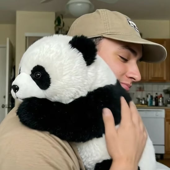 🐼THE PANDY– Emotional Healing on Demand 🌈