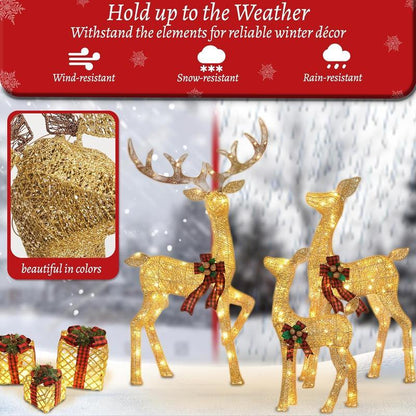 🦌3-Piece Christmas Lighted Reindeer Outdoor Christmas Decoration with 210 LED Lights✨